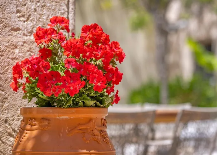 Sala Historical Luxury Apartament Rhodes City