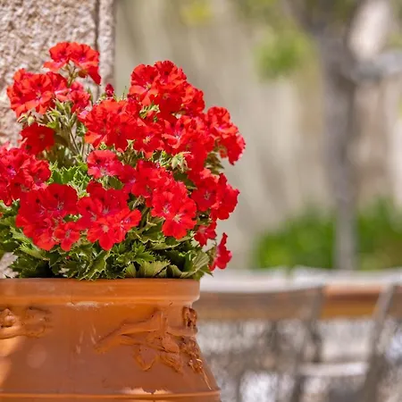 Sala Historical Luxury Apartmán Rhodes City