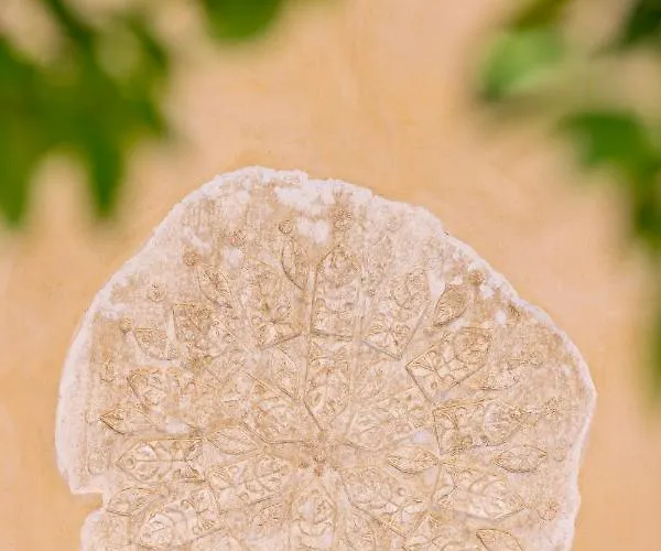 Apartment Sala Historical Luxury