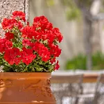 Sala Historical Luxury Apartman Rhodes City