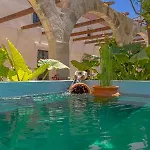 Sala Historical Luxury Apartman